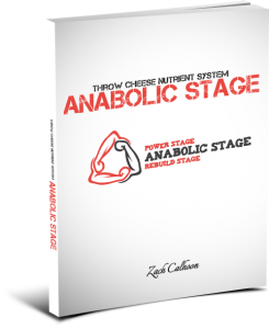 anabolic-stage