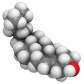Cholesterol